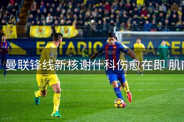 曼联锋线新核谢什科伤愈在即 肌肉暴涨背后暗藏玄机