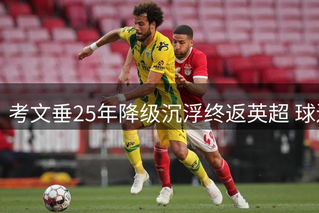 考文垂25年降级沉浮终返英超 球迷举牌“我们会回来”兑现